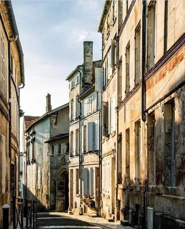 Le Cordon Bleu # Vieux-Cognac # Jardin Apartment Exterior photo